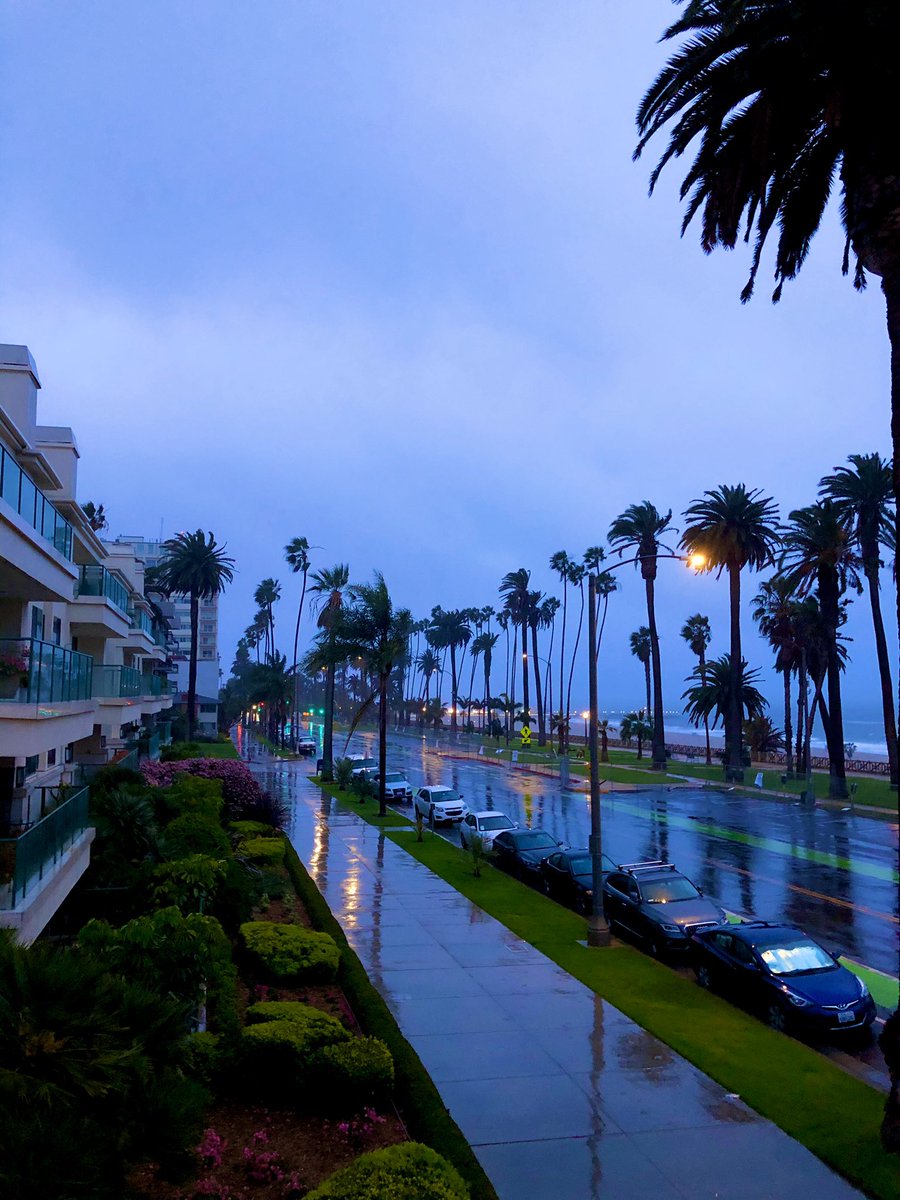 Staff_Commodore's tweet image. 💦

Wet stuff falling out of the sky.

No clue what it is. 

☔️

#MyDayInLA #LARain #MondayMotivation #SantaMonica