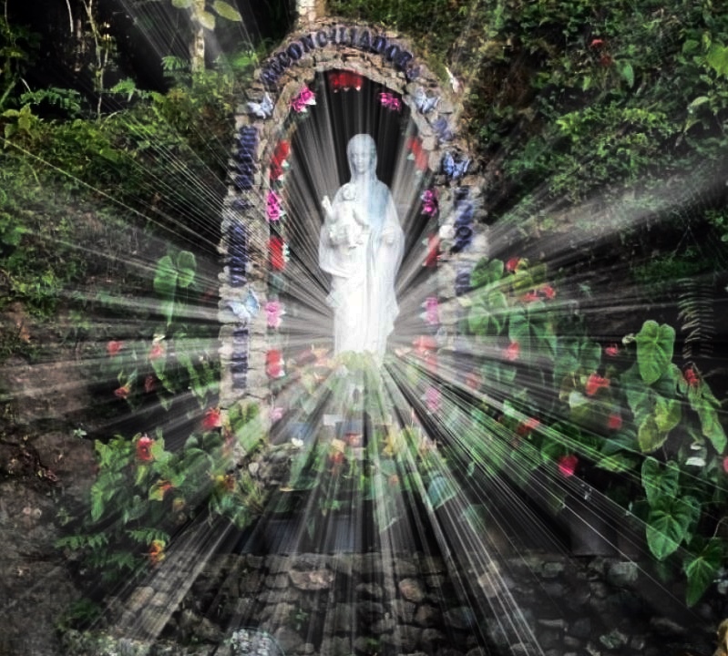 Buenas noches
    ♥
 
    ¡Que la Santísima Virgen María Reconciliadora les cubra con su manto!