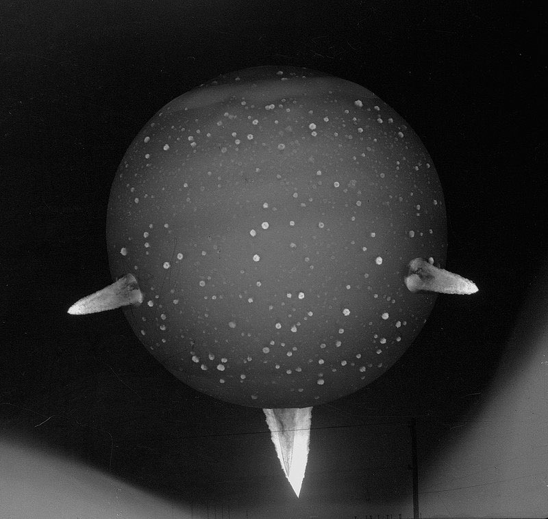 What’s going on in these photos? The roughly spherical blob is the shockwave from the blast, and the white splotches are bits of bomb casing catching up with it. What about the protrusions emerging from the sides of the blast?Image: Public Domain