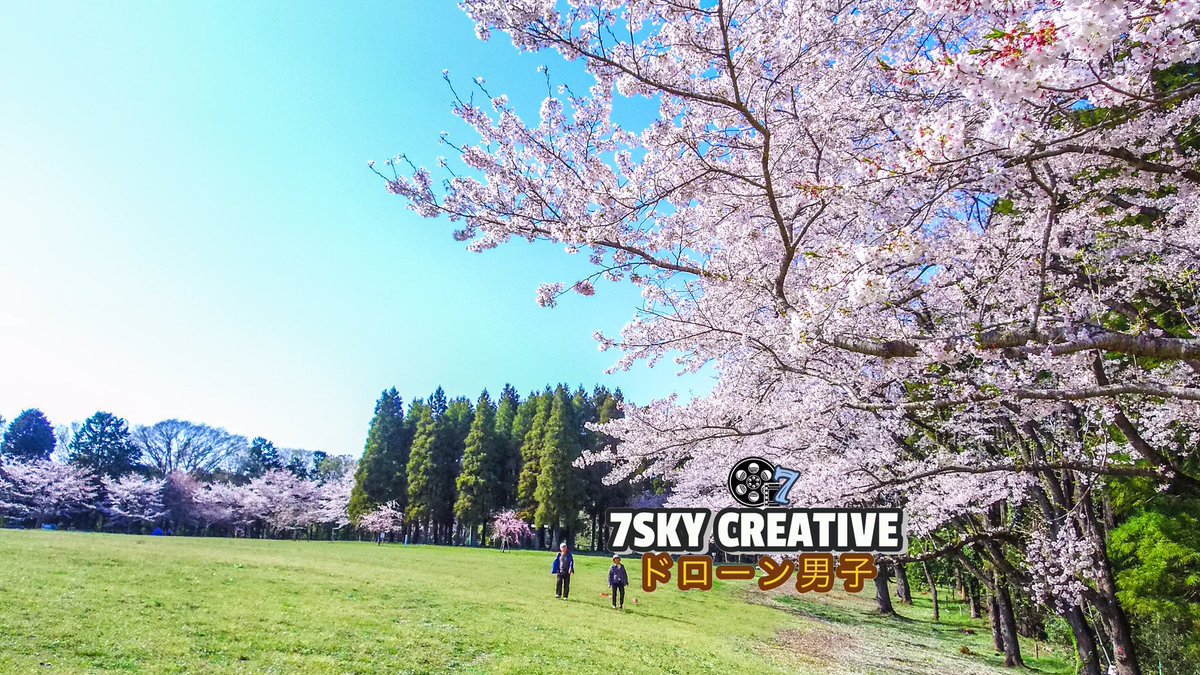 ドローン男子 7skycreative 桜名所 泉自然公園 千葉 ドローン空撮 4k Drone Japan Cherry Blossom 緊急事態宣言します 自宅でお花見や T Co 3fbmmcclzv ドローン男子 7skycreative 桜名所 泉自然公園 千葉 ドローン空撮 4k Drone Japan Cherry Blossom 緊急事態宣言します 自宅でお花見や T Co 3fbmmcclzv