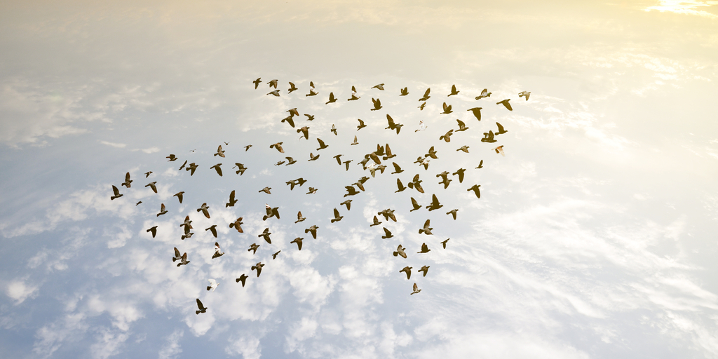 HECParisExecEd's tweet photo. #Coronavirus: How to be the #leader your people need right now? The key might be to engage your people in the right way, at the right time, with the right information https://t.co/hcAZ4BKi9I via @BainAlerts 

#covid19 #leadership https://t.co/Tl3WS1Ow0m