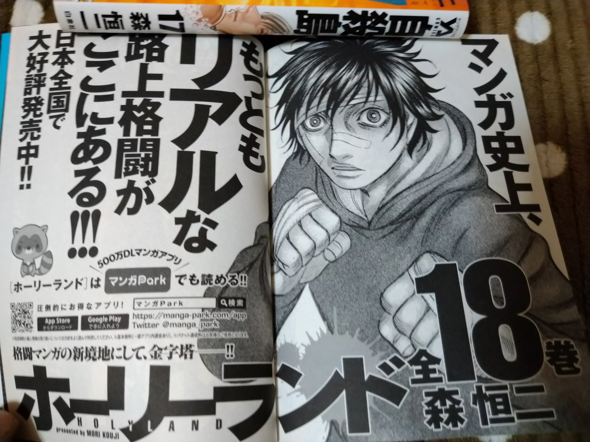 １着でも送料無料 サイン色紙 森恒ニ氏 ホーリーランド その他