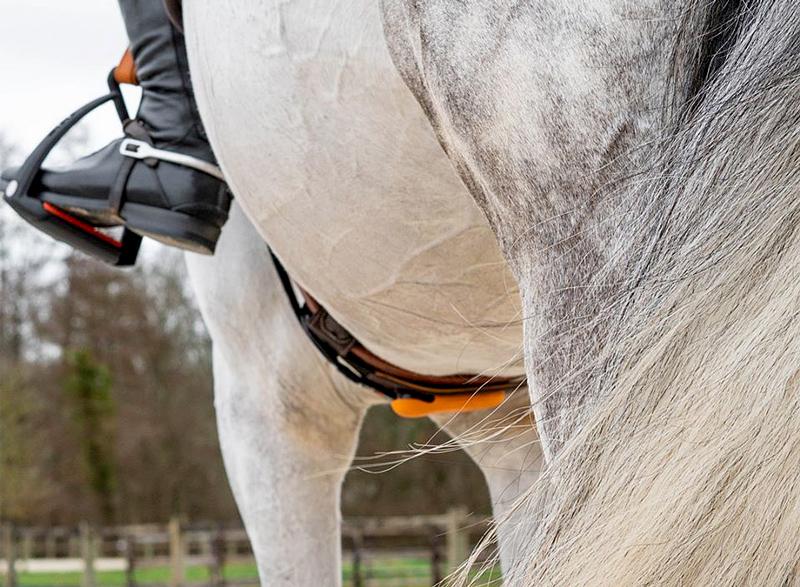 Ecuestre_es tweet media