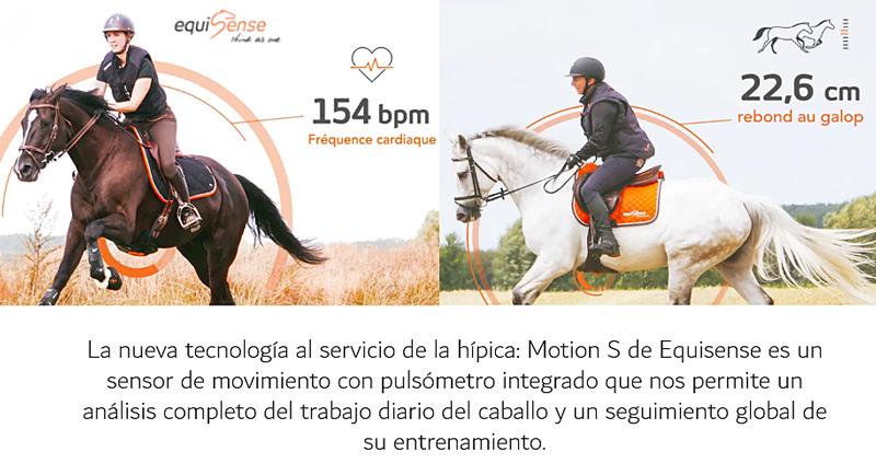 Ecuestre_es tweet media