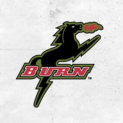 From Medieval Times to MLS: The story of Islamico, MLS's largest live  animal mascot | MLSSoccer.com