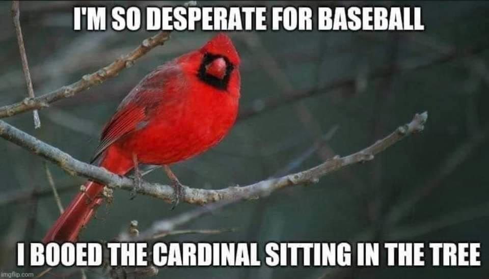 BaseballOconto's tweet photo. @sdurand_2, right?! https://t.co/tYtfssIVbG