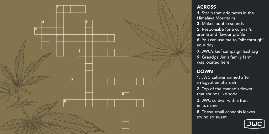 Get your ganja game on! 💪 Beat the boredom and #GetCouchCozy with our cannabis crossword puzzle!