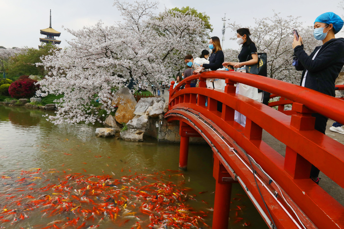We recently interviewed our Wuhan Guide – Swell, to explore life in Wuhan during lockdown, emerging consumer behaviours during this period and how brands and communities are working together to help people get through this unique time. 

Check here: illumestories.com/2020/04/wuhan-…