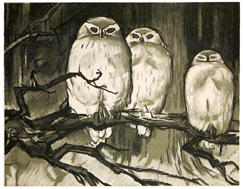 Louis-Joseph Soulas (1905-1954), bois gravés, les trois premiers avec Mathurin Méheut, le dernier pour Le Livre de la jungle.