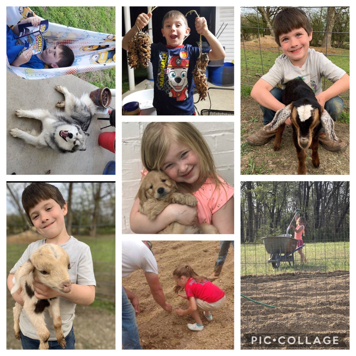 Shout out to these “kinders”!!! They are keeping their minds going during this break! Scavenger hunts, gardening, learning to tie shoes, fact of the day, and Chit Chat charts! I miss them but thankful for Class Dojo, Clever, and social media. #homelearninghub #centteach
