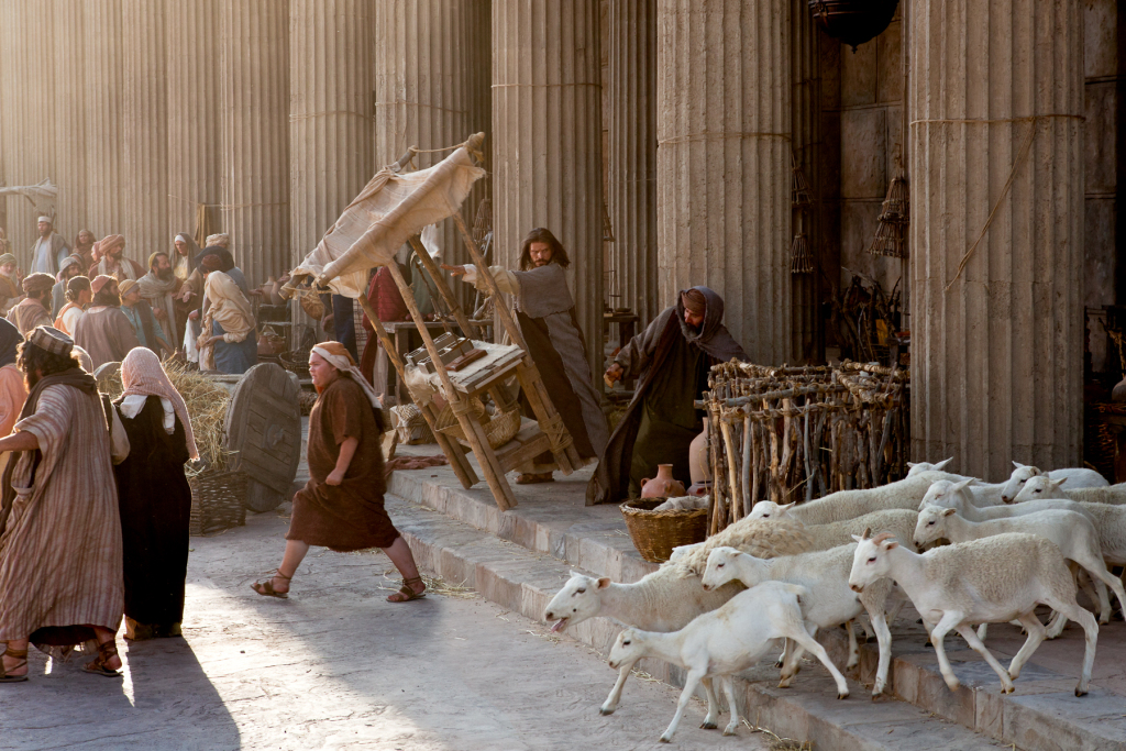 bobmillerva's tweet photo. Jesus begins His last week on earth by "clearing" out the Temple of merchants who considered their own plans, instead of others as a priority. His Father's house was not a place of selling, but of supplication. https://t.co/FTJQE0poNQ https://t.co/kcXesTvbe5