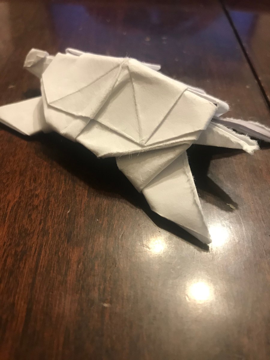 PJHOrchestra's tweet photo. #RISDArtsLiftsUp This clever and patient student created a sea turtle! They are so graceful and peacful. Nice work! https://t.co/ZvFyU7S4PB