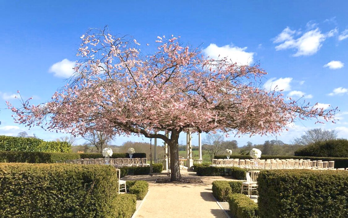 CSPRG_Imperial's tweet photo. 🌸SPRING is here and what a glorious weekend of sunshine we had (although we hope everyone stayed indoors). Here is a photo of a beautiful cherry blossom tree taken by our Trials Assistant @Bhavita90 #MondayMotivation #CSPRGphotochallenge https://t.co/r4ePTefwXV