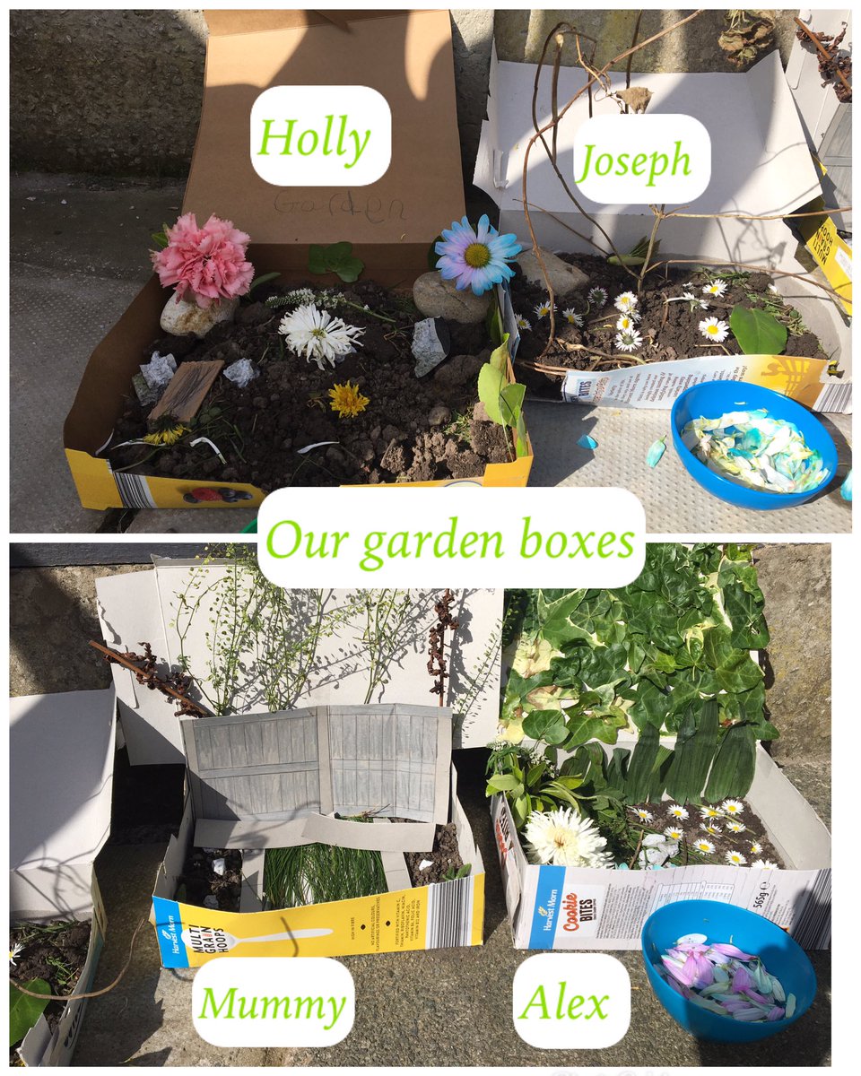 emmasmith1980's tweet photo. @SjfYear I know it’s a bit late but we wanted to show you our garden boxes that we made today. Holly loved making these and it kept us busy for ages and we could all join in. Xxx https://t.co/p4mPAWpbbG