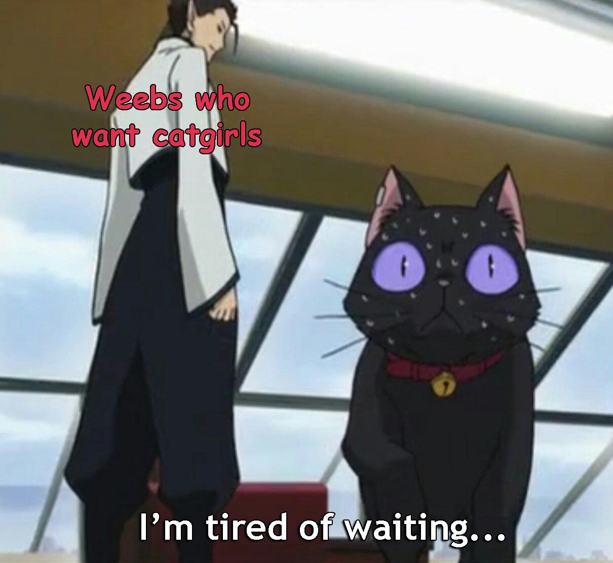 Cat girls when? - Weebs and Their Memes
