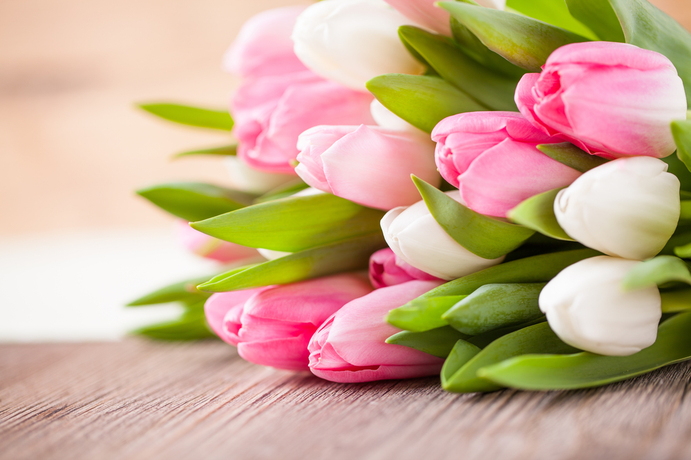 VoedselbankenNL's tweet photo. Supermarktketen @dirkvandenbroek roept klanten op om 2 bossen tulpen te kopen: de 1 euro opbrengst van 2 bossen bloemen gaat volledig naar ons! Daar helpen ze niet alleen ons mee, maar ook de tulpenkwekers.  https://t.co/kd3jYG0tAL #staysafeengeef https://t.co/7MFSqSXJvI