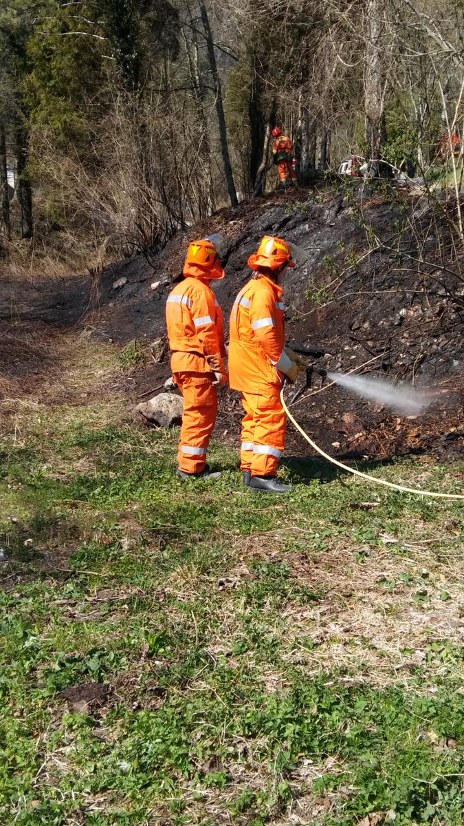 Spento #incendioboschivo in località Terzo di TOLMEZZO, in cui una nostra Squadra AIB sempre attiva anke in #emergenza #coronavirus assieme hai colleghi di Protezione Civile CAVAZZO CARNICO e intervenuta su richiesta della SOR di <a href="/ProtCivReg_FVG/">Protezione Civile FVG</a>