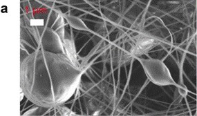 BioResJournal's tweet photo. Comparison of rosin and #propolis #antimicrobials in #celluloseacetate fibers against #Staphylococcus aureus.
https://t.co/IrBboF9kIs
#BioResJournal #antibacterial #cellulose #electrospinning #woodrosin #naturaladditives https://t.co/i0JmZdcDyX