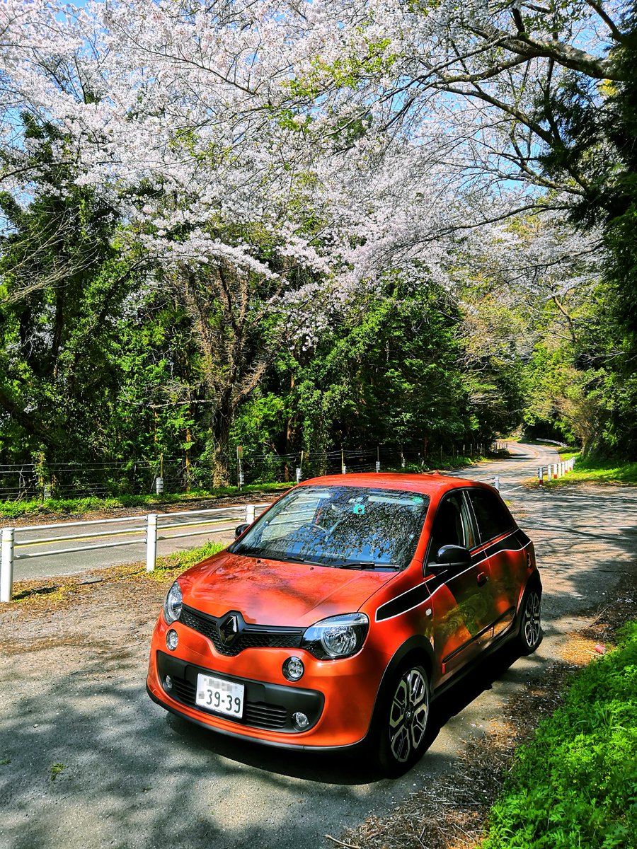 iusay_ika's tweet photo. 春だ！ 桜だ！ トゥインゴだ！
#Twingo #三河湾スカイライン #初音ミク #トゥインゴ https://t.co/CKuJAIukDL