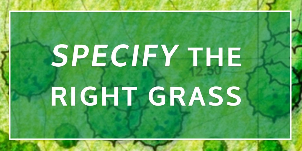 SodSolutions's tweet photo. Choosing the right grass for the right place is essential for a successful project. The #SodSolutionsPro team has the experience and expertise you need to make the right grass choice. Learn more ➡️ https://t.co/d7lglQSio9
#Golf #Sports #Landscape https://t.co/TertyLpNPy