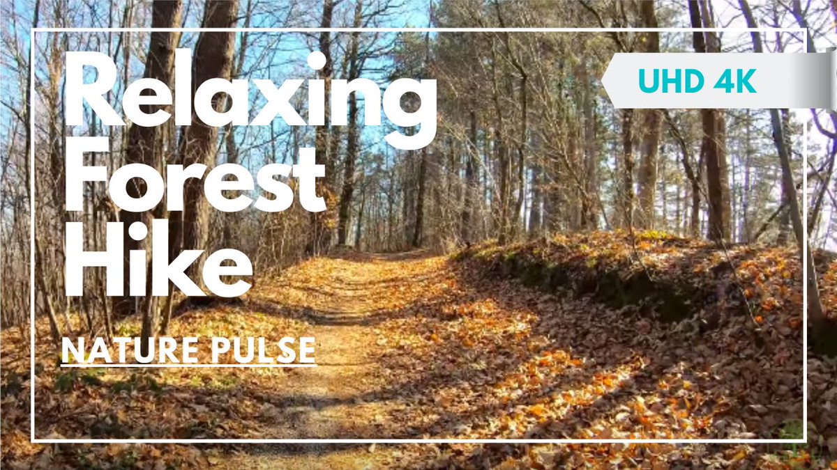 MoriAyumiphd's tweet photo. Relaxing hike in the beautiful forest in Ultra HD ==>> htt#relaxation #relaxing #naturepulse #nature #stressrelief #stressmanagment #foresttherapy #hikingadventures #hiking p://bit.ly/2TvuBIC https://t.co/FS7zFOkAjm
