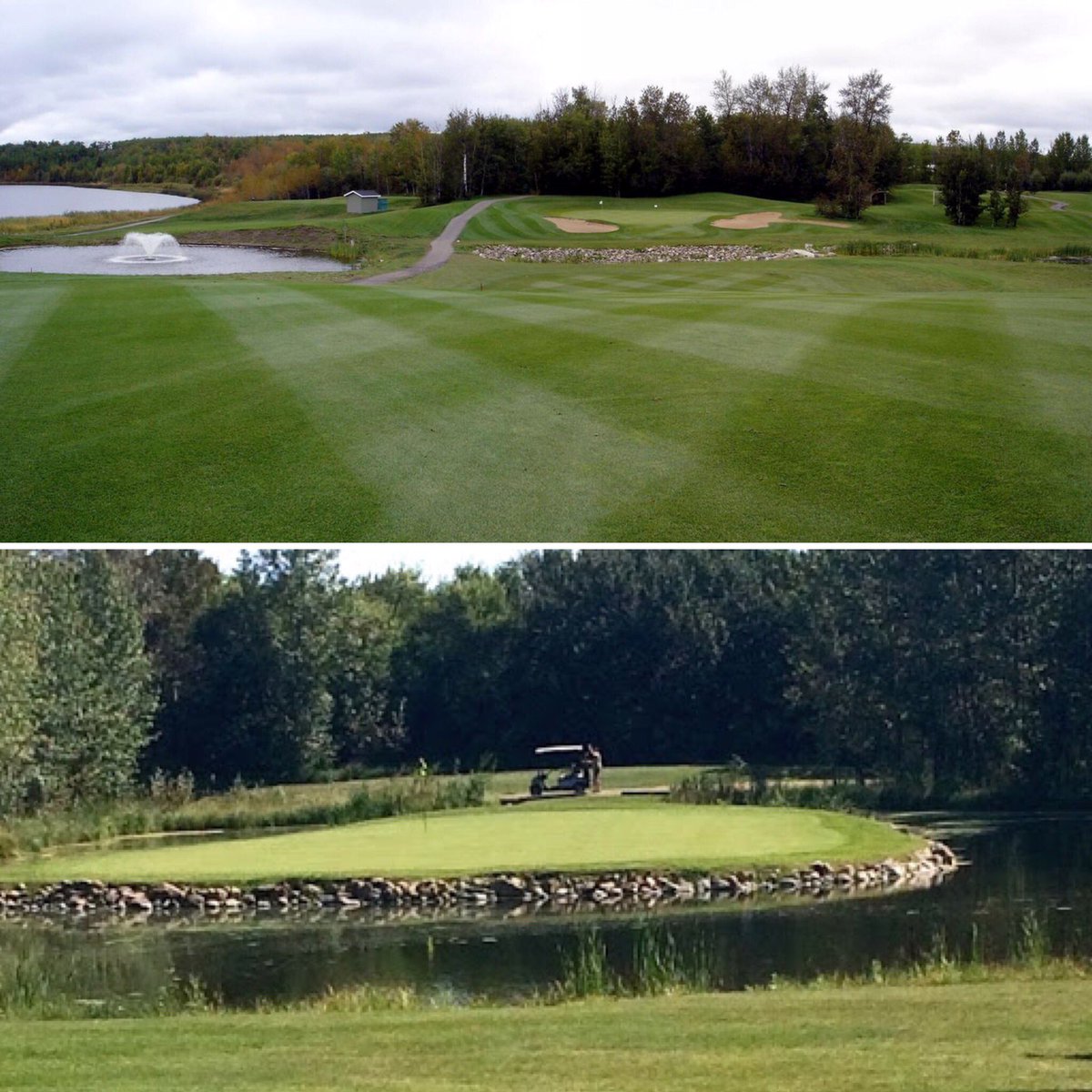 nezREFS's tweet photo. Quarterfinal Match #2 goes today at Noon. We’ve got a rivalry that comes from the ice and goes to the links with the Bonnyville Golf &amp; Country Club (top) taking on the Daysland Golf Club (bottom).

Rally your players and take part in #BracketMisconduct https://t.co/ArlzGkQe2E