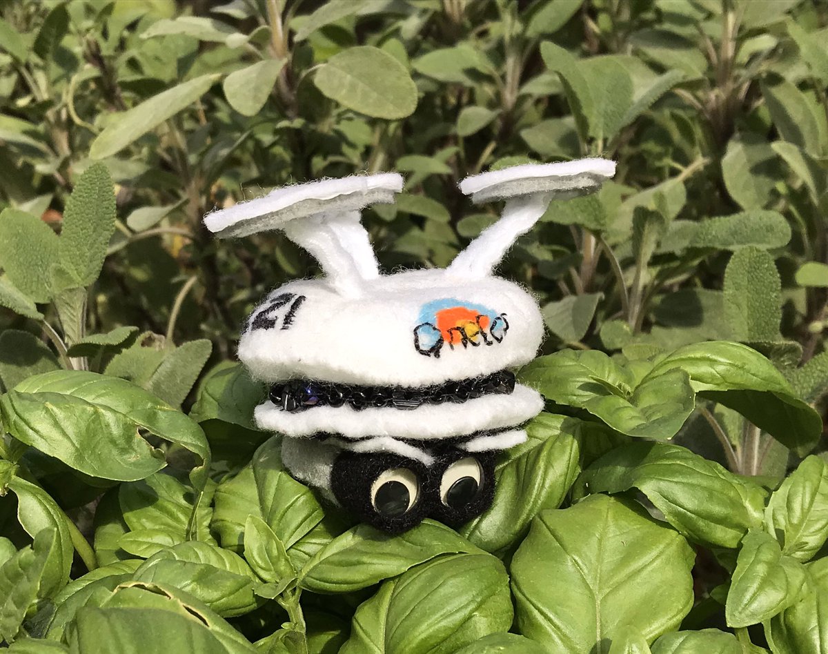 Caroline Ault tweet media