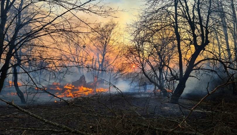 FFFIndia's tweet photo. Radiation levels 16 times above normal after fire hit Chernobyl nuclear accident zone.
Ukrainian authorities on April5 reported a spike in radiation levels in Chernobyl nuclear accident zone, which was hit by a devastating forest fire.
(1/3)
#ClimateCrisis
#fridayaforfuture https://t.co/tSiLtA9LS3