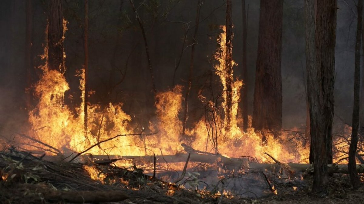 FFFIndia's tweet photo. Radiation levels 16 times above normal after fire hit Chernobyl nuclear accident zone.
Ukrainian authorities on April5 reported a spike in radiation levels in Chernobyl nuclear accident zone, which was hit by a devastating forest fire.
(1/3)
#ClimateCrisis
#fridayaforfuture https://t.co/tSiLtA9LS3