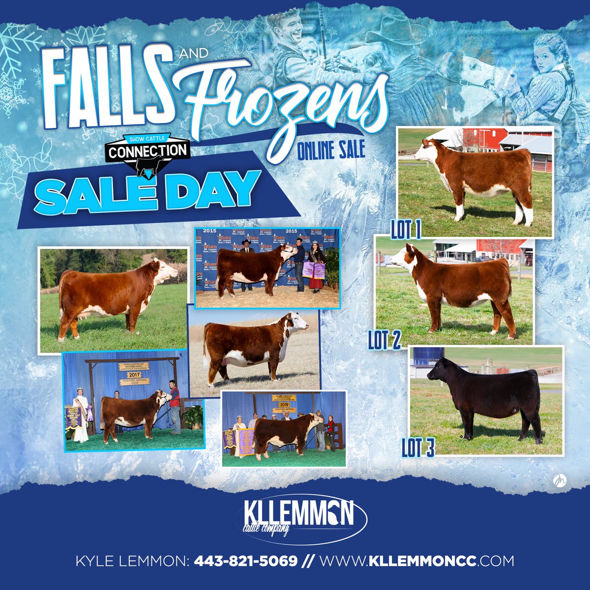 auctions.thewendtgroup.com/auction/7518