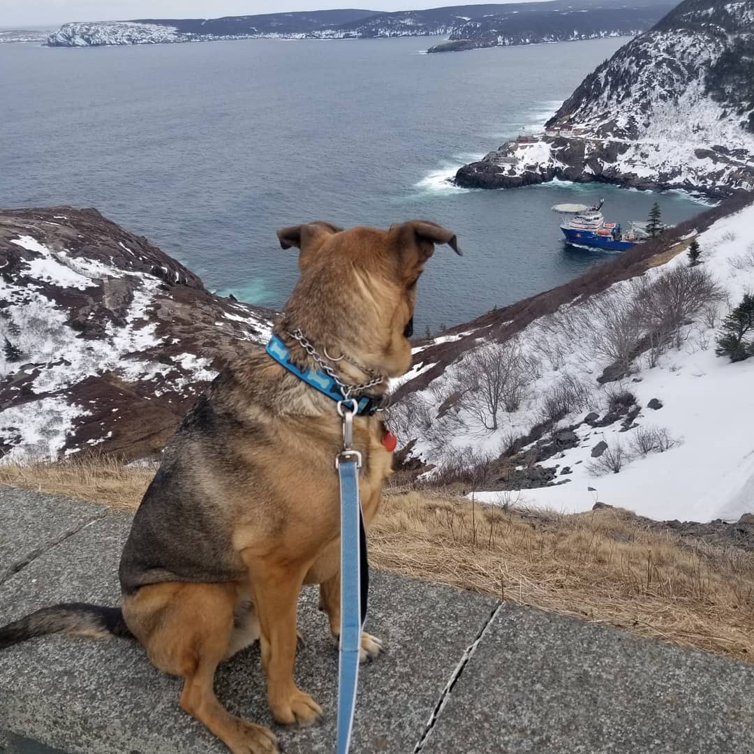 This view never gets old for me and Charlie! This is definitely a place that I love! #GratitudeRRE <a href="/RenniesRiver/">Rennie's River Elem</a>