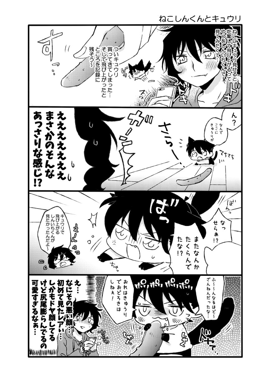 ねこしんくんとキュウリ 