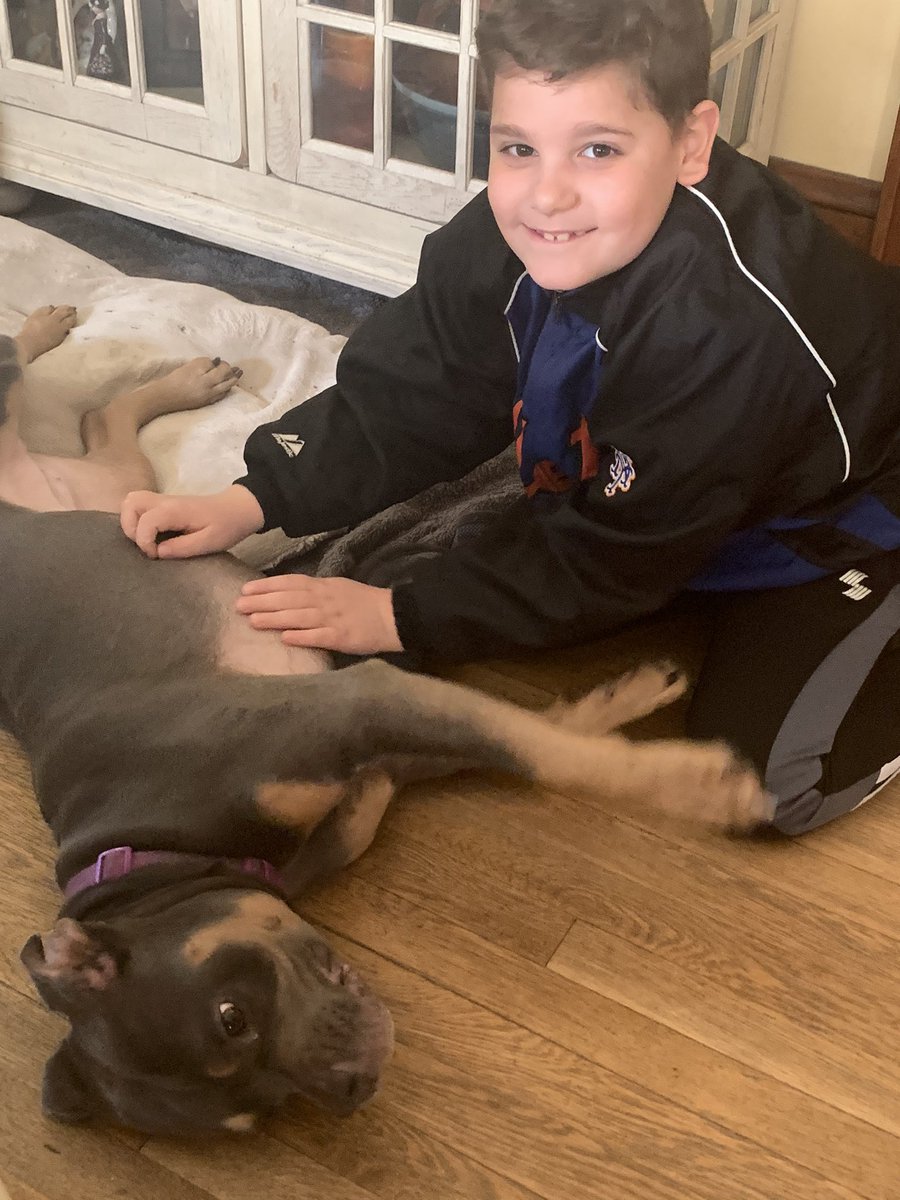 JillShaughness2's tweet photo. Pet day at MPT! We love our Zoey! #MondayMorning #menloparkterrace #SpiritWeek #petselfieday #week4 @ldalessandro15 @MargaretTruppa @MenloPark19 https://t.co/E7IZ0A7hAw