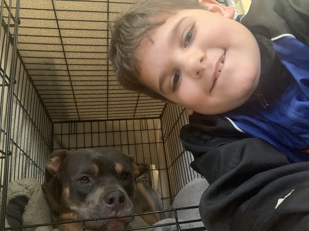 JillShaughness2's tweet photo. Pet day at MPT! We love our Zoey! #MondayMorning #menloparkterrace #SpiritWeek #petselfieday #week4 @ldalessandro15 @MargaretTruppa @MenloPark19 https://t.co/E7IZ0A7hAw
