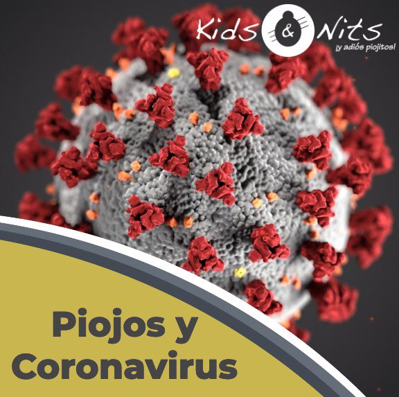 kidsandnits.com/los-piojos-y-e…