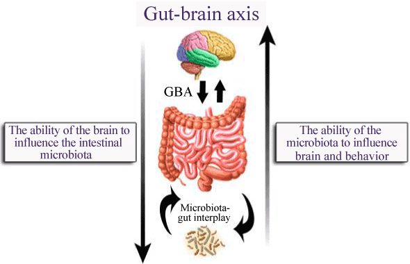 Feed the bad bacteria, it will get stronger.Feed the good bacteria, it will get stronger.SINPLE