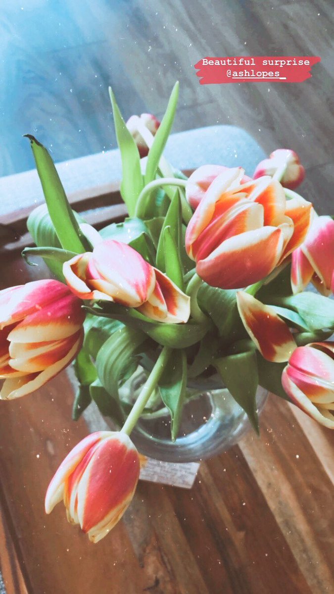 MsSacchitiello's tweet photo. Feeling so much love today! Thank you for the beautiful surprise! 💐 @MsLopes8 #FrontLineHeroes https://t.co/aSN3E4PkKk