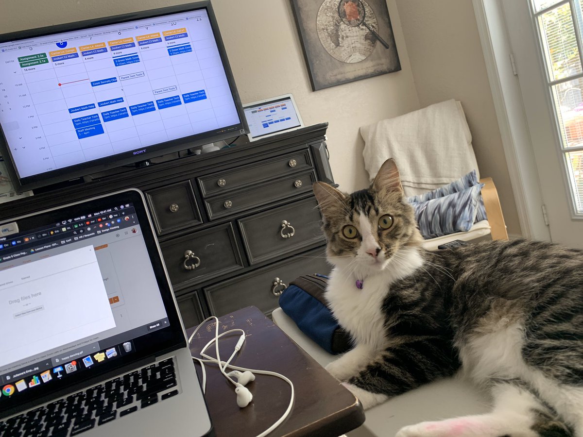 JoubertAndres's tweet photo. I am starting a #WorkspaceChallenge. Snap a picture of your #DistanceTeaching or #DistanceLearning work space & share it here!
Let’s feel connected by having a glimpse of one another’s POV during our at-home work experiences!
Posting to GClassroom & having a staring contest! https://t.co/FK5AP9hktD