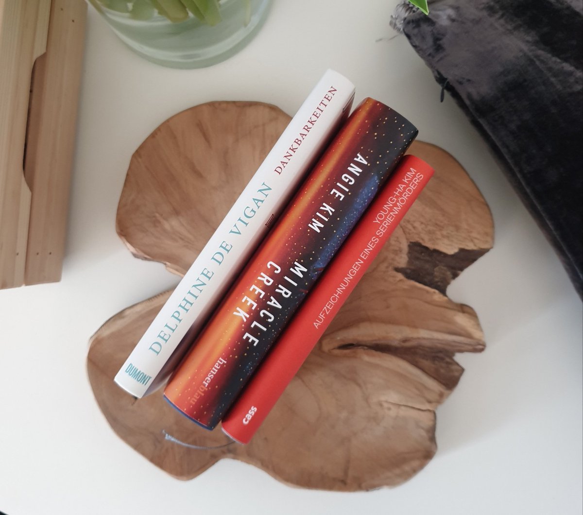 @Mayersche Ich fahre gerade mehrgleisig - kann mich einfach nicht entscheiden 😍😁 #StayAtHomeReadABook <a href="/dumontverlag/">DuMont Buchverlag</a> <a href="/hanserliteratur/">Hanser Literatur</a>