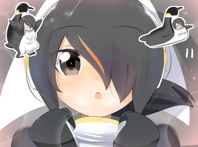 コウテイちゃん11日目 