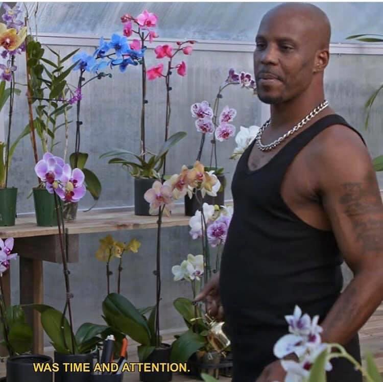 1. I love him2. It totally makes sense that DMX grows orchids.