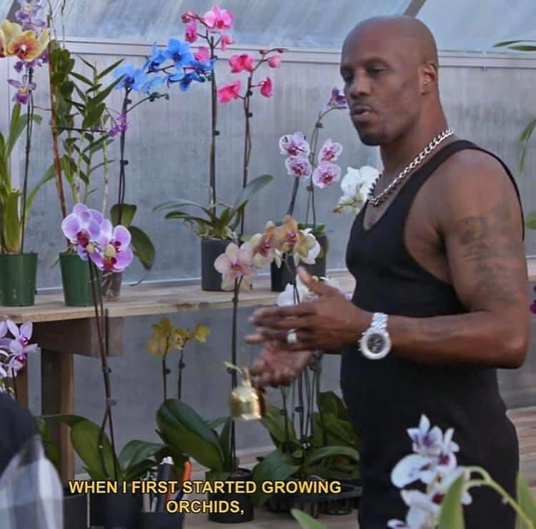 1. I love him2. It totally makes sense that DMX grows orchids.