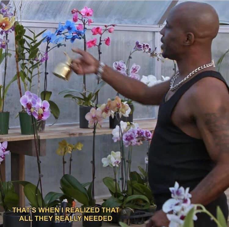 1. I love him2. It totally makes sense that DMX grows orchids.