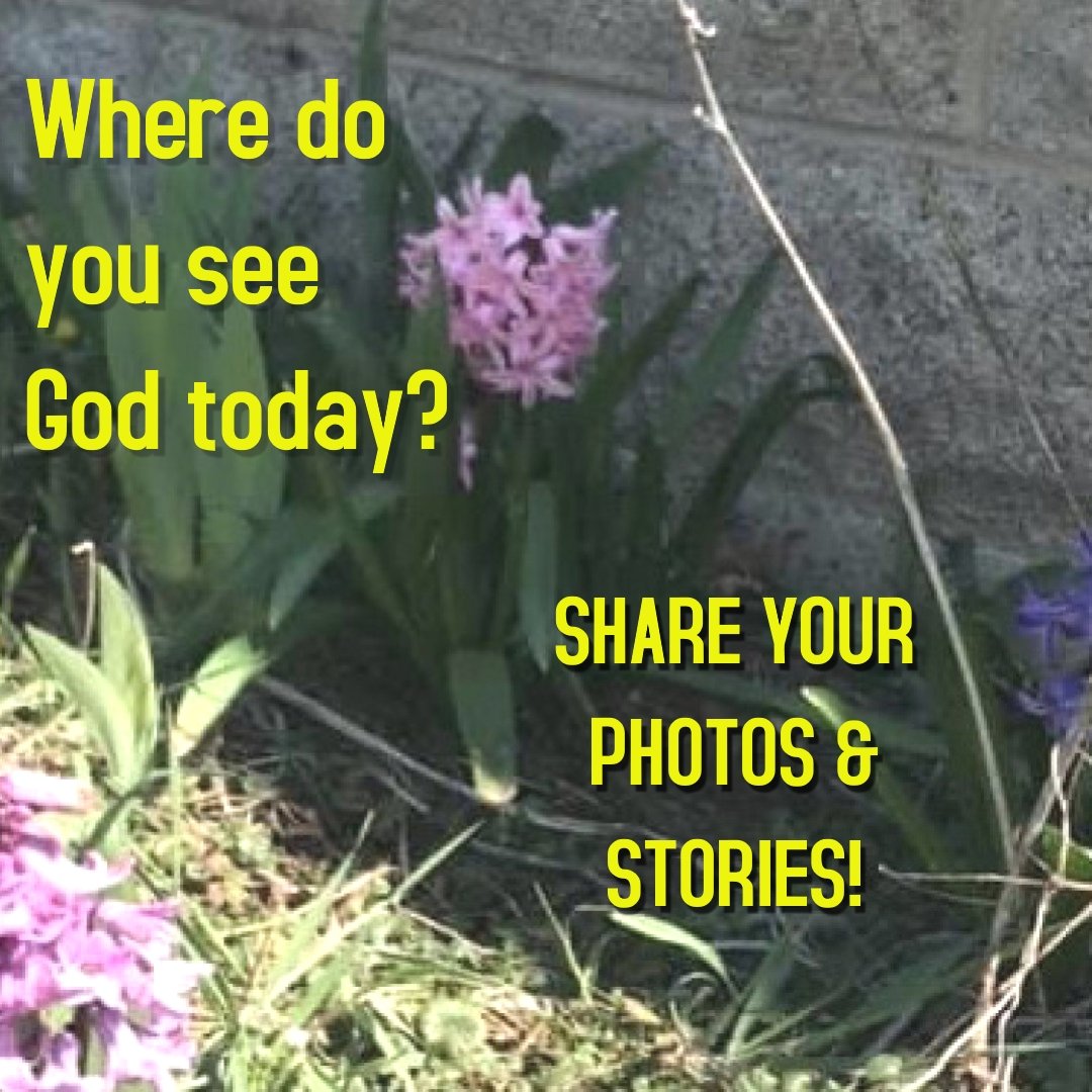 NDisciples's tweet photo. Keep your eyes and ears open this week, and share where you find God with us and with the world! https://t.co/2fljuUMieT