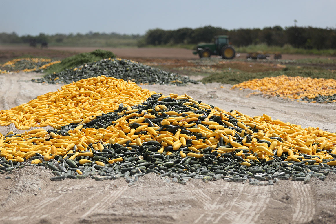 But the supply chains for retail and commercial food are almost completely separate. They rely on different processors, packers, and distributors. It's a logistical headache to funnel food from one supply chain into the other.  https://www.politico.com/news/2020/04/05/food-waste-coronavirus-pandemic-164557