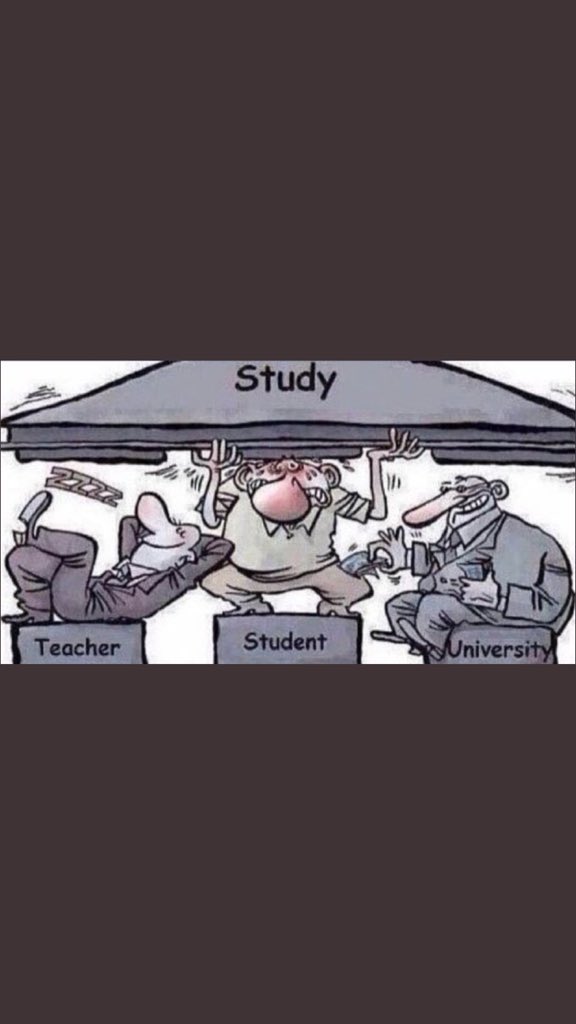 khadijawaseem43's tweet photo. Pictures says it all! 
#ShameOnHEC
@UMTOfficial
 @ibrahimhmurad
 @Kashifabbasiary
 @GOPunjabPK 
 @hecpkofficial @UsmanAKBuzdar https://t.co/KVQLaZigm4