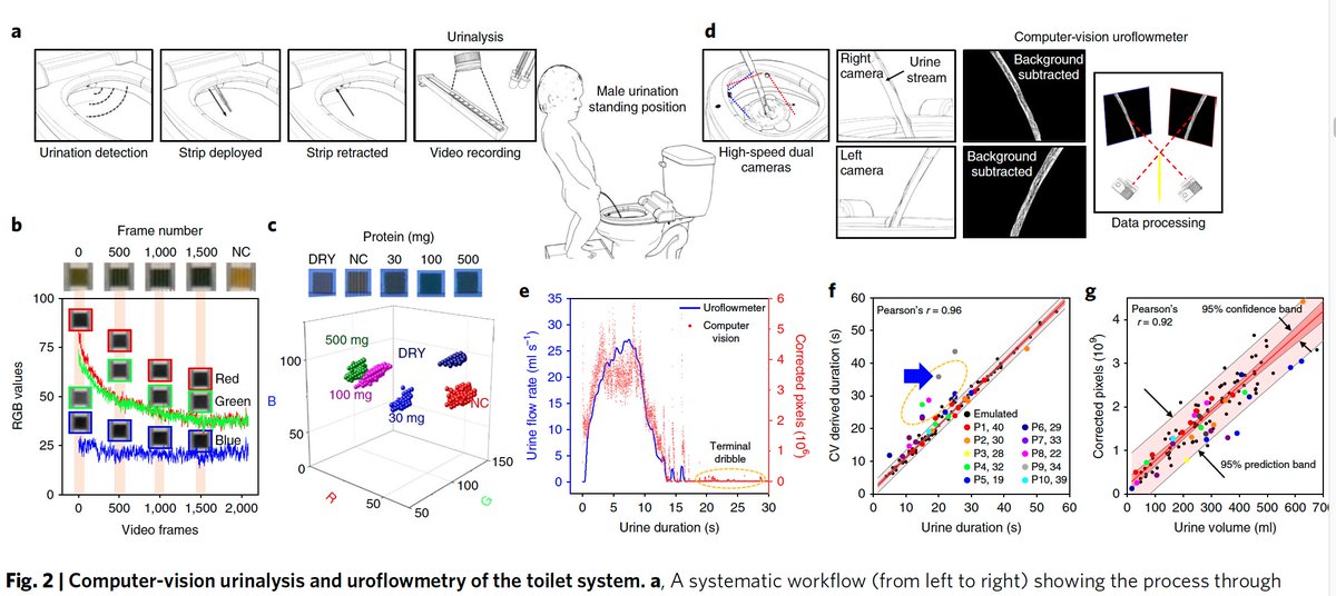EricTopol's tweet photo. Taking a bathroom break from #COVID19
to go to the smart toilet, which uses deep learning #AI to analyze all of one's excrements 💩
https://t.co/bFKmf2P47O @natBME @StanfordMed @StanfordEng https://t.co/v0sXDuqF5G