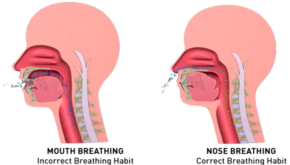 4. CONTROL OF THE BREATH AND LIFE ENERGYNo breath, no life.Life energy is an undefinable force within us that bonds us all to the conscious world.Mastering your breath is mastering yourself and your physiology.WIM HOF and Nasal breathing are both great methods.