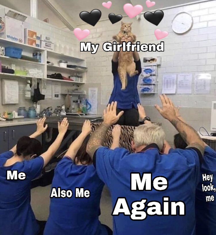 RespectfulMemes's tweet photo. https://t.co/2n8WoBBrpQ