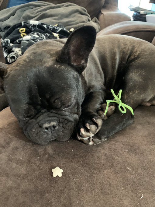 #QuarantineLife #lockdowneffect #coronapocolypse #QuarantineDiaries https://t.co/3pVDWYss23<a href="/tag/quarantinelife"class="tags">#QuarantineLife</a><a href="/tag/lockdowneffect"class="tags">#lockdowneffect</a><a href="/tag/coronapocolypse"class="tags">#coronapocolypse</a><a href="/tag/quarantinediaries"class="tags"><span>#quarantinediaries</span></a>